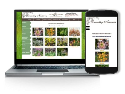 Dunwiley Nurseries  - Click to visit website